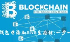 如何在TP钱包中添加BNB生态链：一步一步的指南