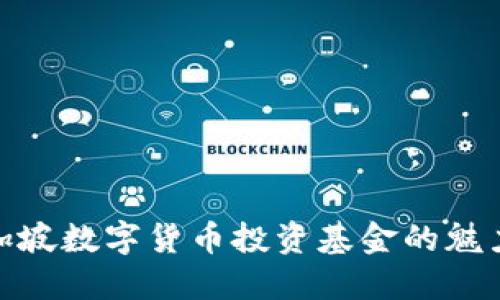 探索新加坡数字货币投资基金的魅力与机会