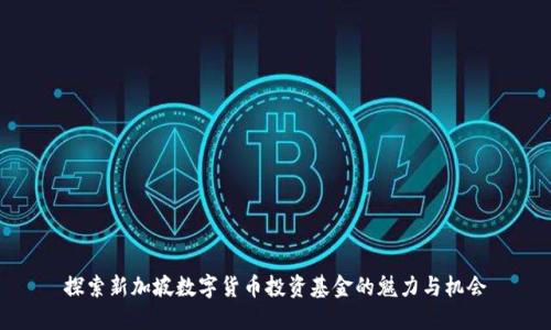 探索新加坡数字货币投资基金的魅力与机会