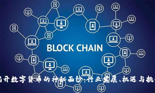 揭开数字货币的神秘面纱：行业发展、机遇与挑战