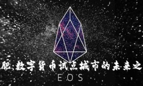 合肥：数字货币试点城市的未来之路