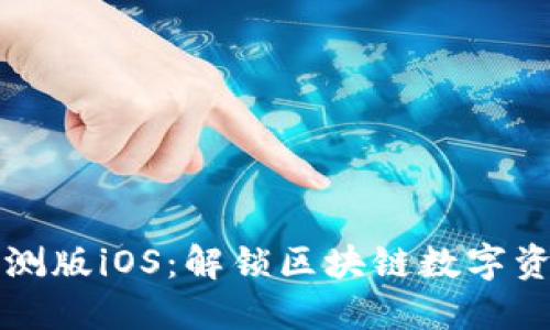 探索TP钱包内测版iOS：解锁区块链数字资产的无限可能