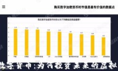 探索数字货币：为何投资未来的虚拟财富?