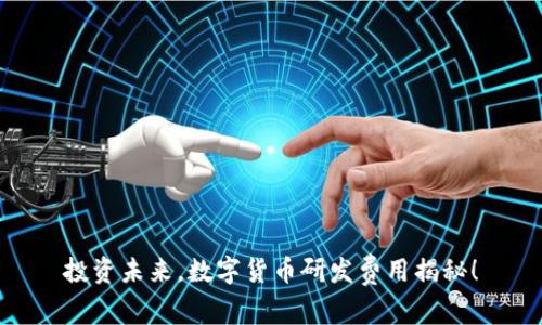 投资未来，数字货币研发费用揭秘！