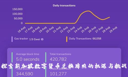 探索新加坡数字货币兑换牌照的机遇与挑战