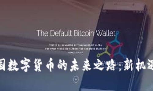 探索中国数字货币的未来之路：新机遇与挑战