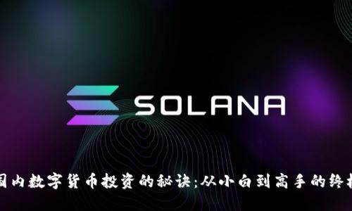 揭秘国内数字货币投资的秘诀：从小白到高手的终极指南