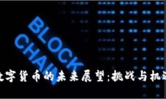 数字货币的未来展望：挑战与机遇