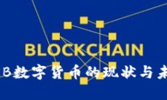 澳洲MSB数字货币的现状与未来发展