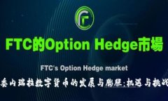 委内瑞拉数字货币的发展与膨胀：机遇与挑战