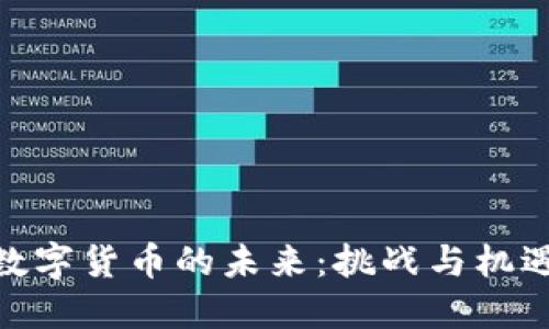 数字货币的未来：挑战与机遇