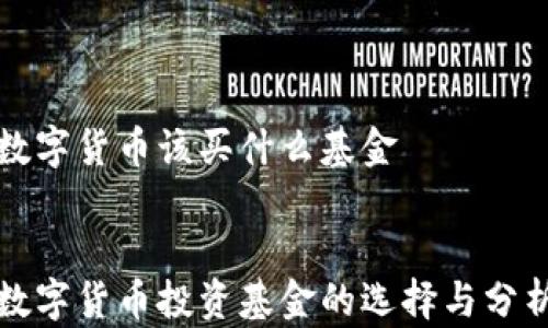 
数字货币该买什么基金


数字货币投资基金的选择与分析