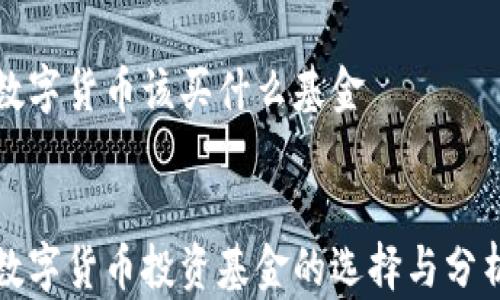 
数字货币该买什么基金


数字货币投资基金的选择与分析
