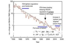 中国央行数字货币的发展现状及未来展望