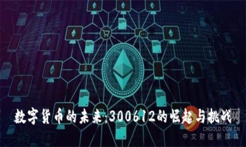 数字货币的未来：300612的崛起与挑战