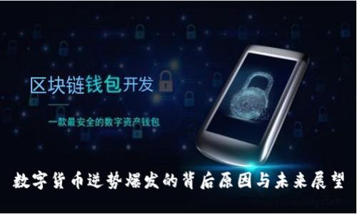 数字货币逆势爆发的背后原因与未来展望