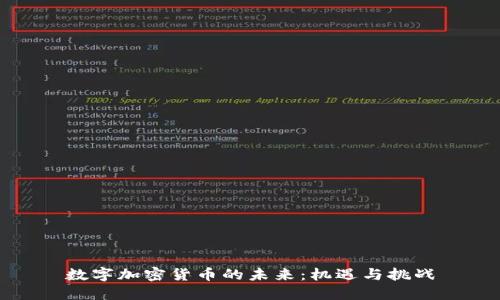 数字加密货币的未来：机遇与挑战