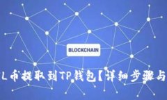 如何将FIL币提取到TP钱包？详细步骤与注意事项