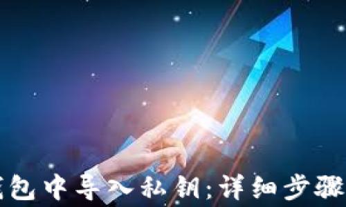 
如何在TP钱包中导入私钥：详细步骤与注意事项