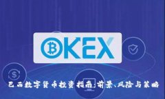 巴西数字货币投资指南：