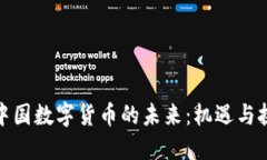 : 中国数字货币的未来：机