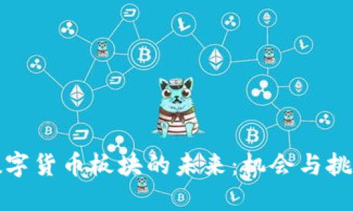 数字货币板块的未来：机会与挑战